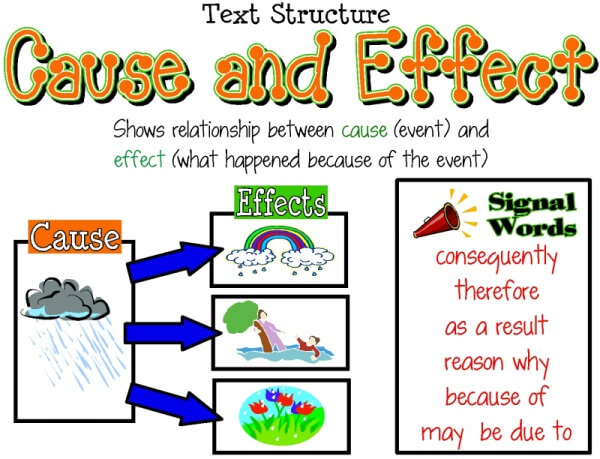 Examples of a cause and effect essay